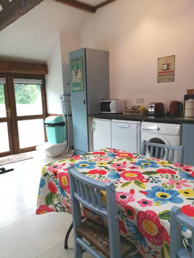 Killarney Saoirse Cottage Εξωτερικό φωτογραφία