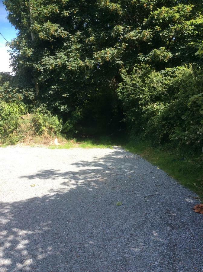 Killarney Saoirse Cottage Εξωτερικό φωτογραφία