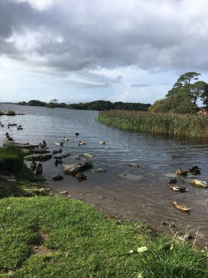 Killarney Saoirse Cottage Εξωτερικό φωτογραφία