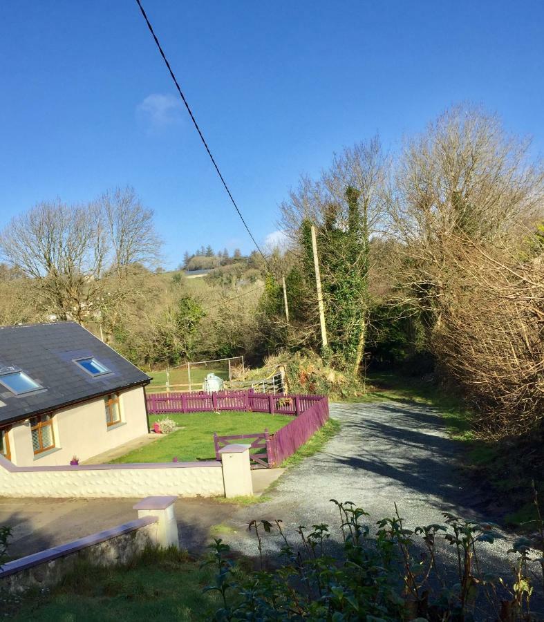 Killarney Saoirse Cottage Εξωτερικό φωτογραφία